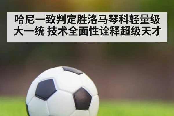 哈尼一致判定胜洛马琴科轻量级大一统 技术全面性诠释超级天才