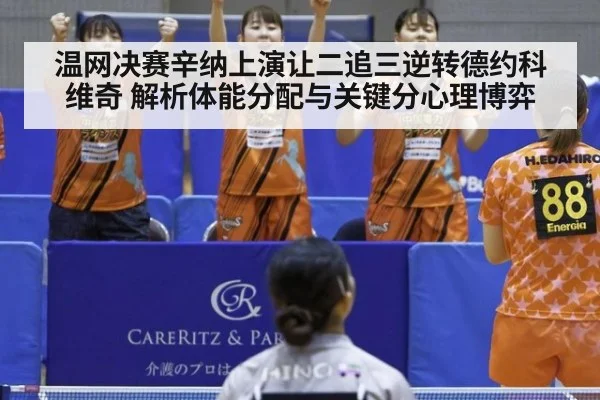温网决赛辛纳上演让二追三逆转德约科维奇 解析体能分配与关键分心理博弈