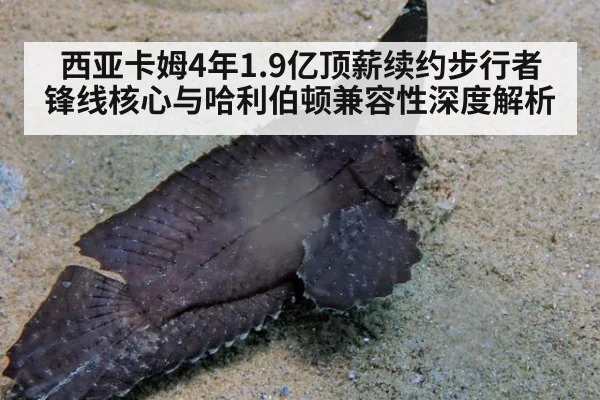 西亚卡姆4年1.9亿顶薪续约步行者 锋线核心与哈利伯顿兼容性深度解析