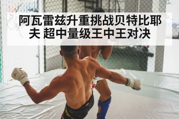 boxing fight